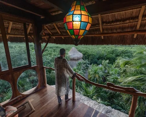Canopy Nest